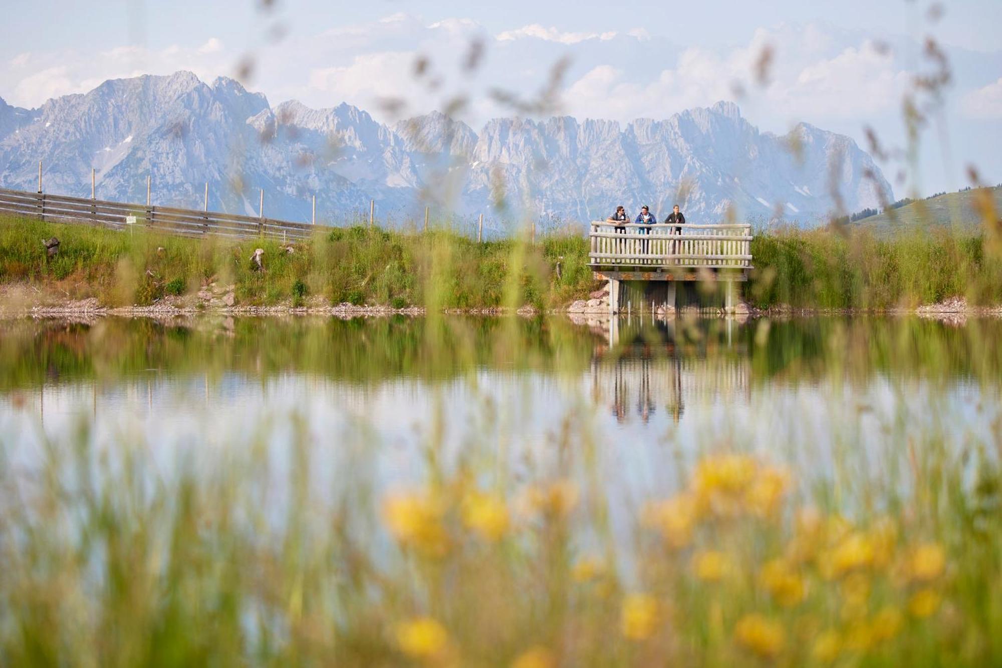 Das Hohe Salve Sportresort, 4 Sterne Superior Hopfgarten im Brixental Exteriör bild